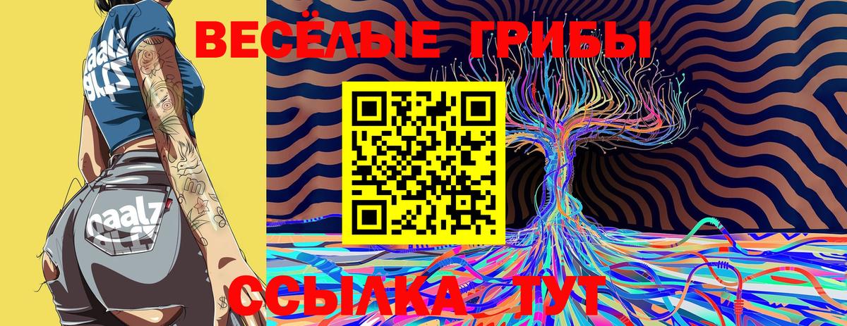 Псилоцибиновые грибы Magic Shrooms  Вход с VPN  купить наркоту  Карпинск 