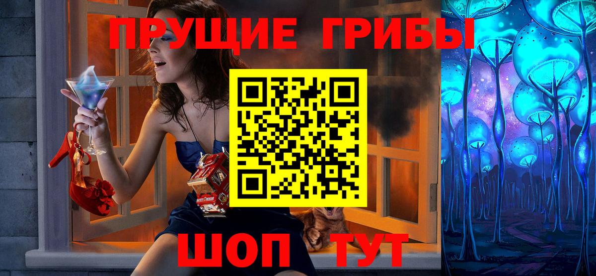 Псилоцибиновые грибы Psilocybe Карпинск