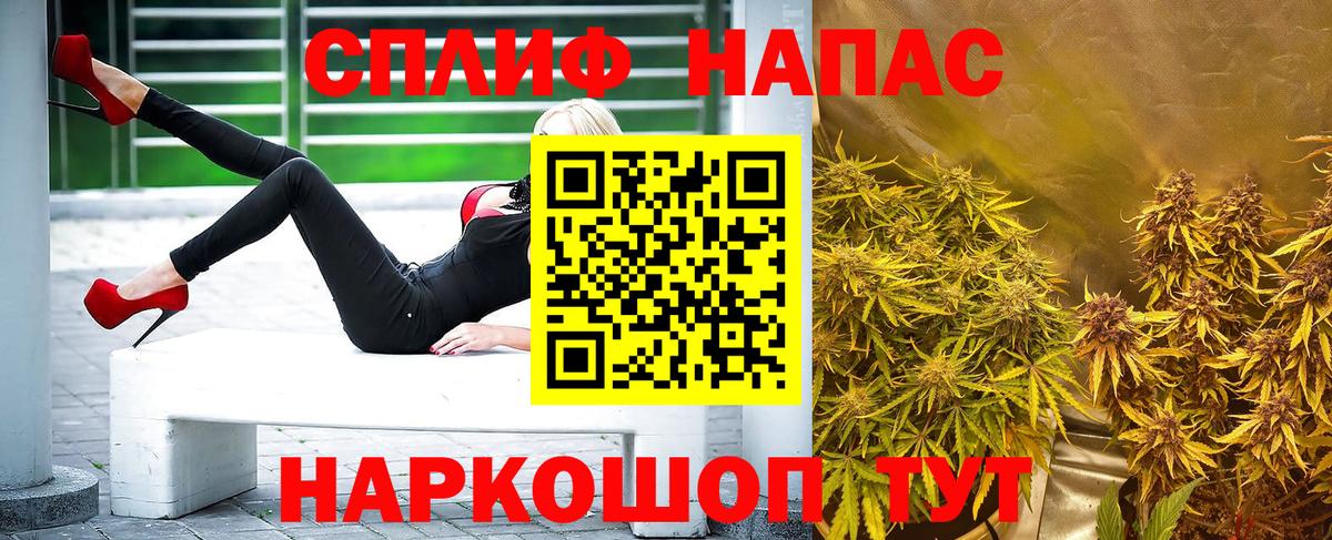 Конопля гибрид Карпинск